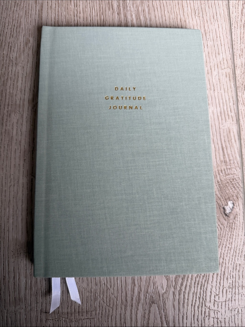 Daily Gratitude Journal - Sage Green
